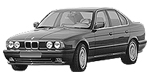 BMW E34 P334E Fault Code